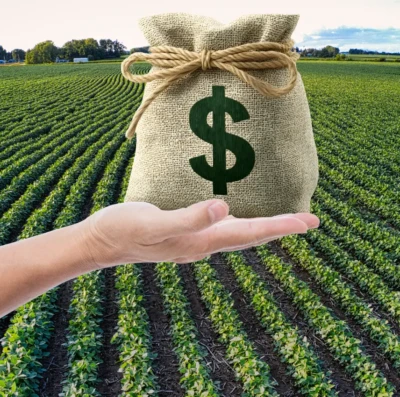 Governo libera R$ 4,1 bilhões e destrava crédito rural do Plano Safra 20242025