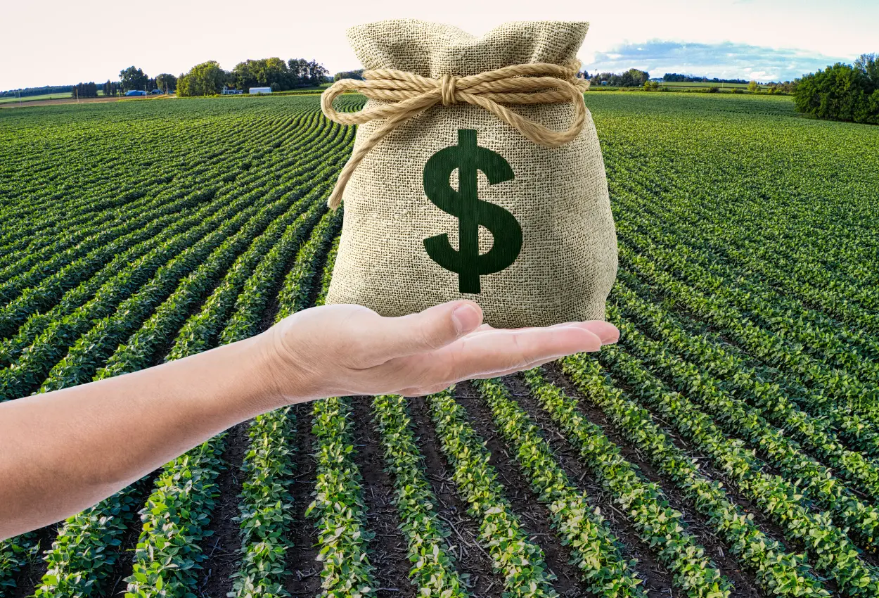 Governo libera R$ 4,1 bilhões e destrava crédito rural do Plano Safra 20242025