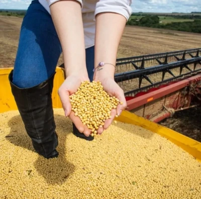 PIB de Goiás cresce 4,8% em 2023 e supera média nacional