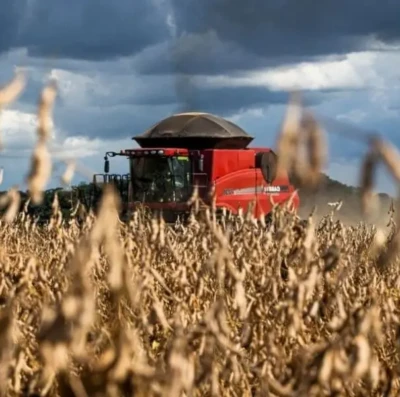 Goiás começa a colher segunda maior safra de sua história