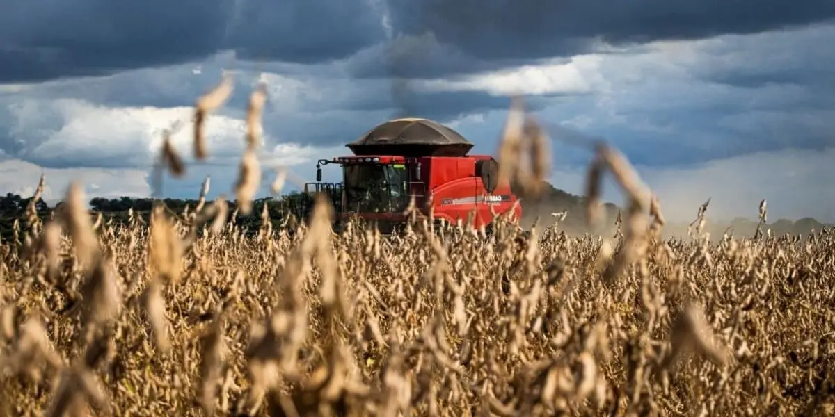 Goiás começa a colher segunda maior safra de sua história