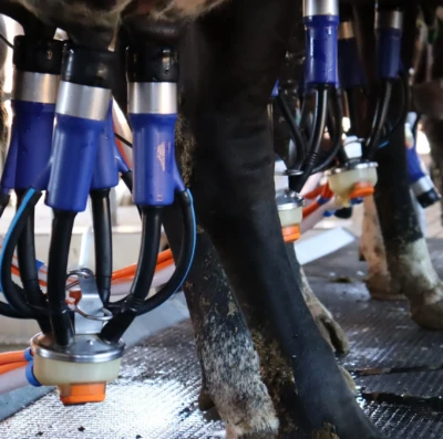 Governo de Goiás lança novo edital do PAA Leite 2026