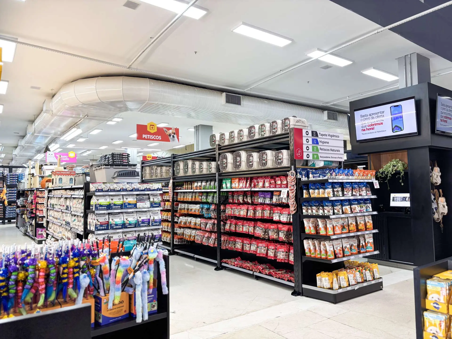 Mercado pet de R$ 77 bilhões impulsiona chegada da Dog in Box a Goiânia com megaloja de 500 m²