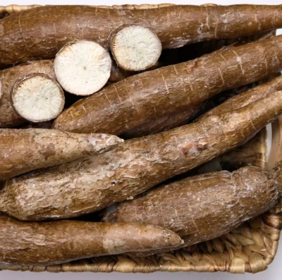 Produção de mandioca cresce em Goiás e impulsiona o setor