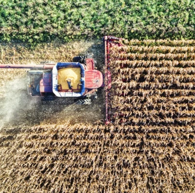 Agro de Goiás pode capturar até 5 toneladas de CO2 por tonelada de grão, aponta estudo inédito
