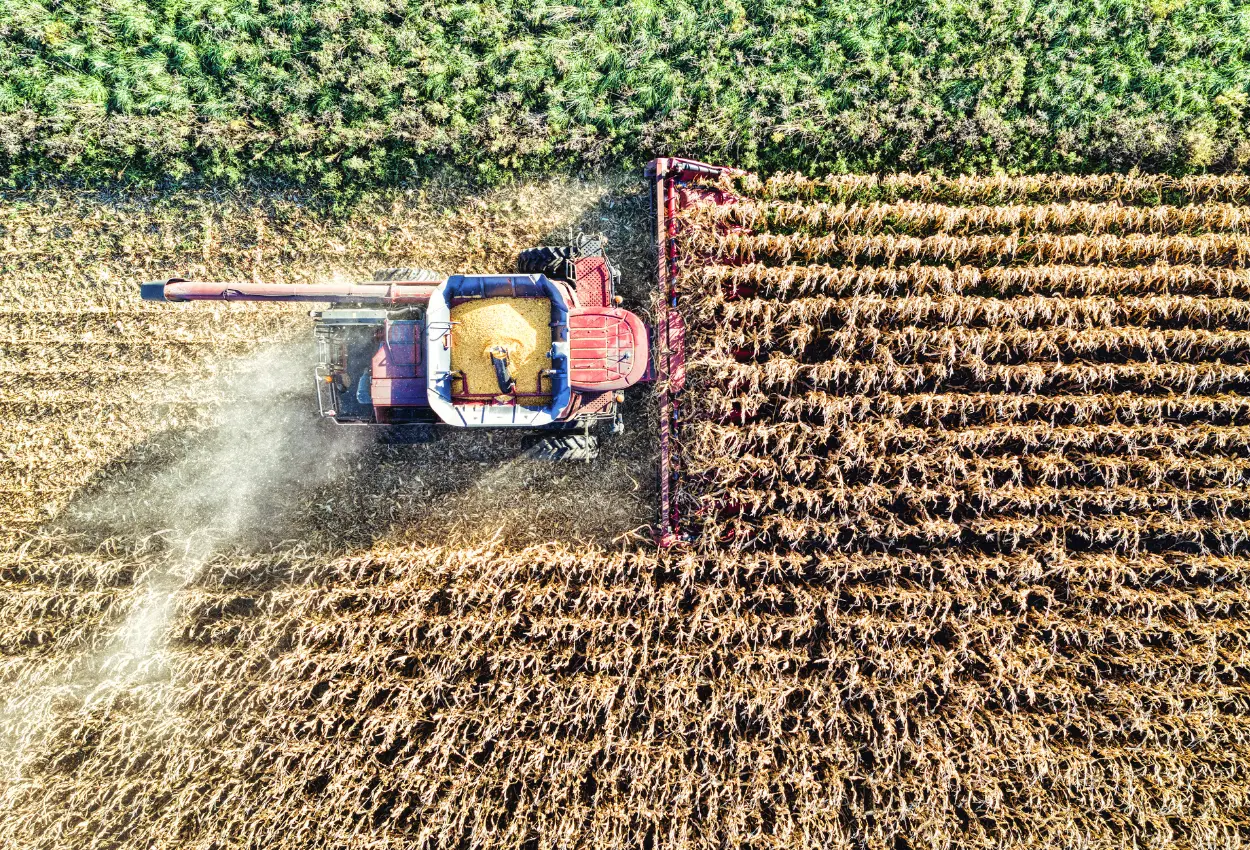 Agro de Goiás pode capturar até 5 toneladas de CO2 por tonelada de grão, aponta estudo inédito