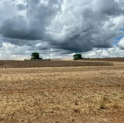 Colheita da soja avança no sudoeste de Goiás e produtividade mantém patamar elevado na safra 202526