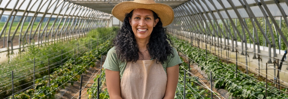 Gestão do agronegócio ganha protagonismo com avanço do setor que pode chegar a 29,4% do PIB brasileiro