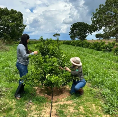 Goiás amplia combate a pragas agrícolas com acordo entre Agrodefesa e UFG