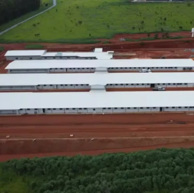 Hubbard investe R$ 60 milhões em Goiás para ampliar produção de genética de frangos em 27%