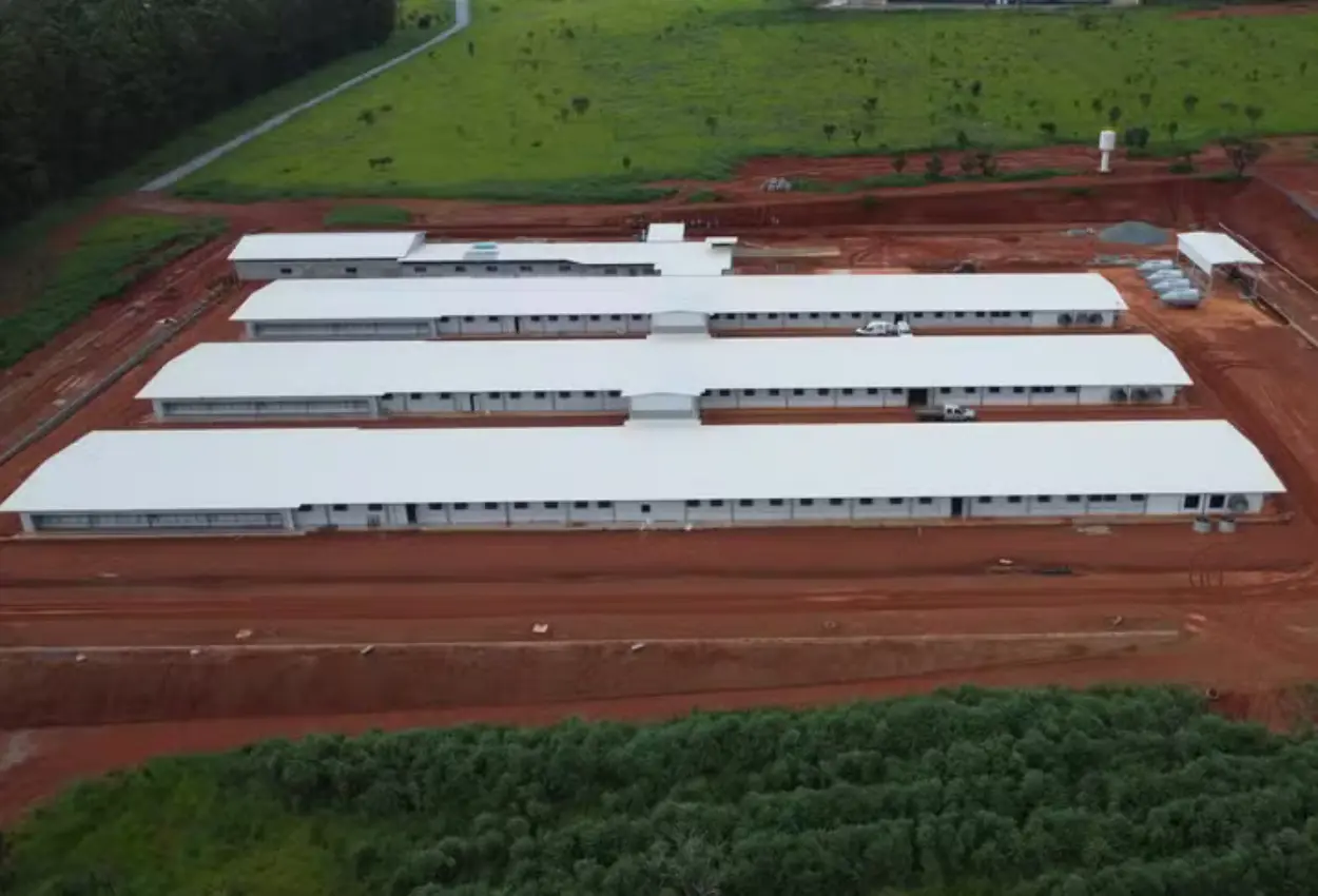 Hubbard investe R$ 60 milhões em Goiás para ampliar produção de genética de frangos em 27%