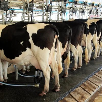 Preços dos lácteos sobem e puxam alta no mercado em Goiás