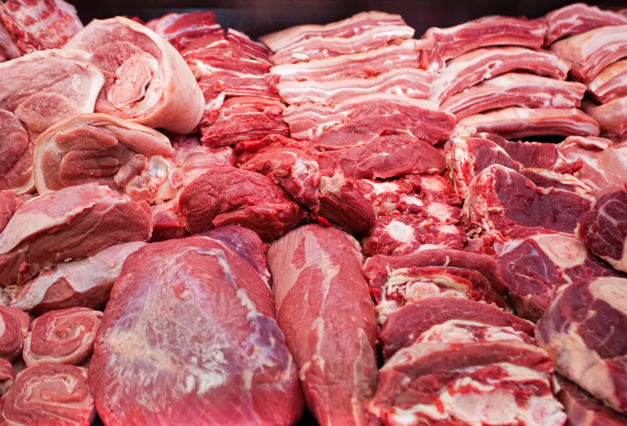 Carne bovina brasileira enfrenta pressão da União Europeia e setor teme impacto bilionário