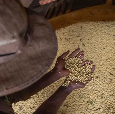 Goiás bate US$ 1,4 bilhão em exportações e amplia superávit comercial em abril de 2026