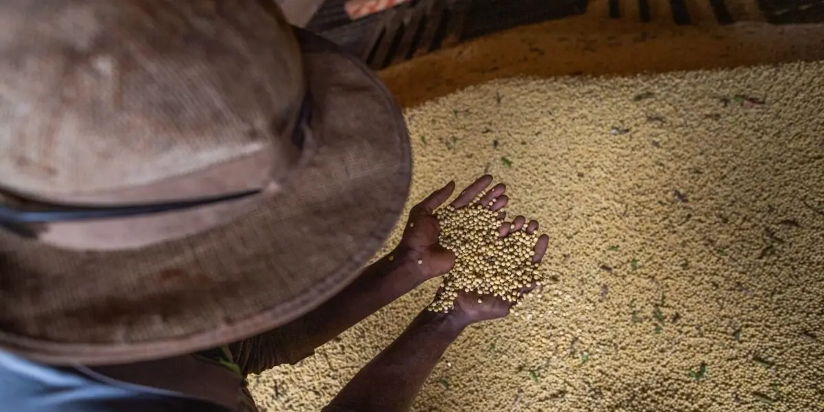 Goiás bate US$ 1,4 bilhão em exportações e amplia superávit comercial em abril de 2026