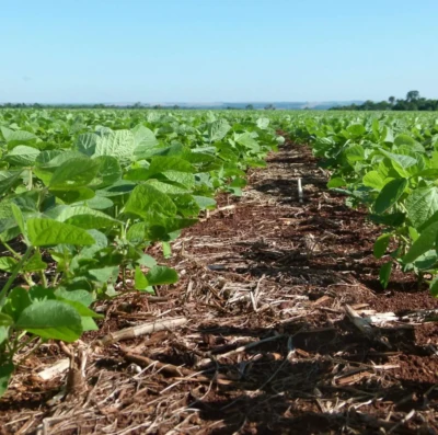 Plano Safra 2026 2027 CNA propõe crédito recorde e mudanças estruturais para o agro