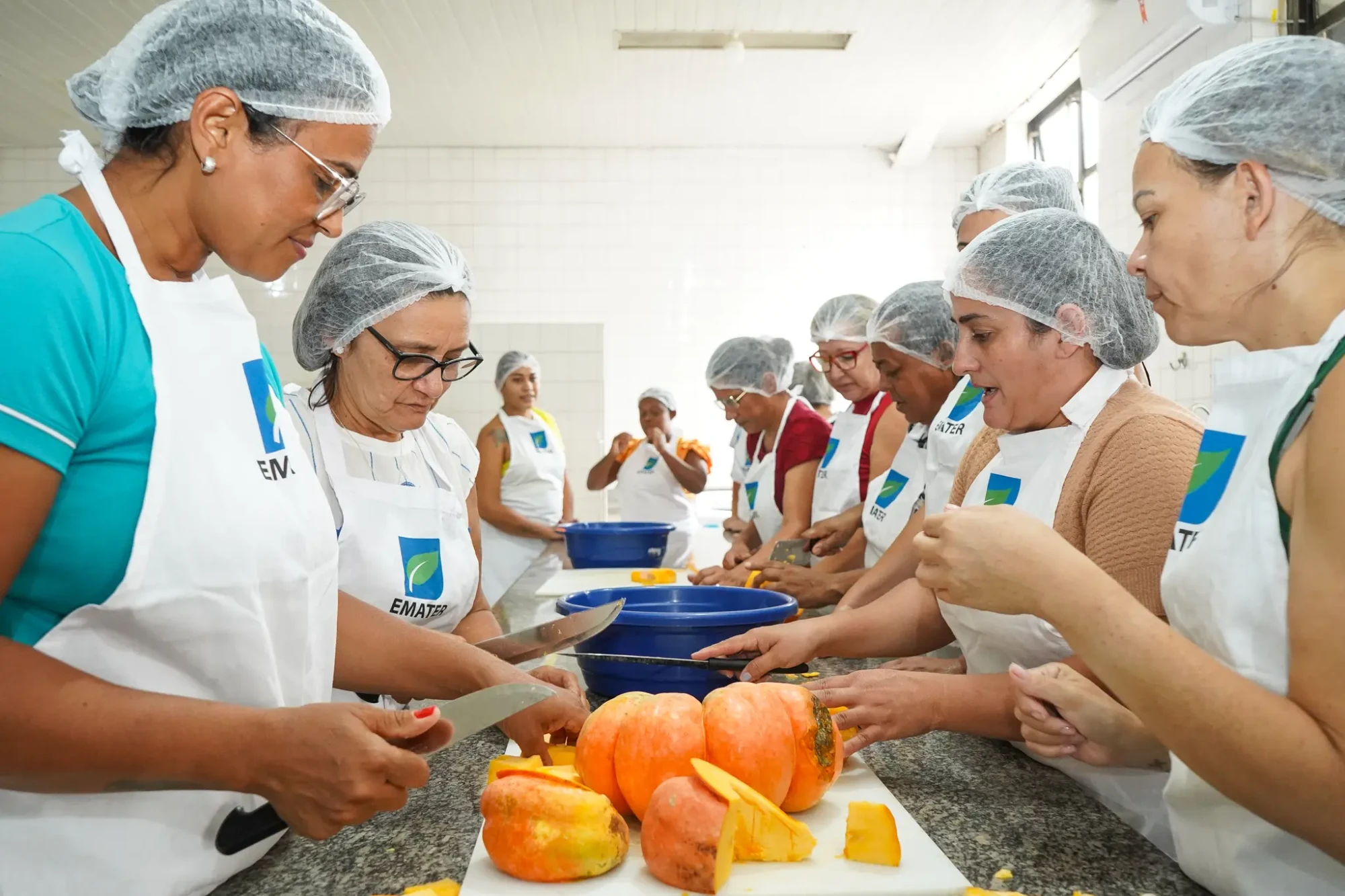 Crédito Social beneficia 644 produtores rurais e injeta mais de R$ 3 milhões em Goiás