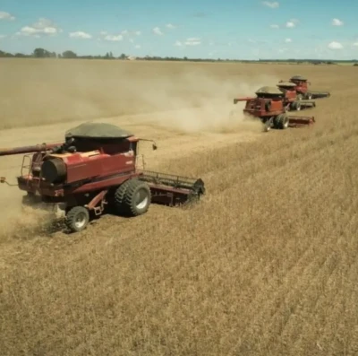 El Niño preocupa produtores em Goiás e amplia corrida por tecnologia no campo