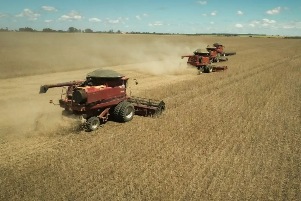 El Niño preocupa produtores em Goiás e amplia corrida por tecnologia no campo