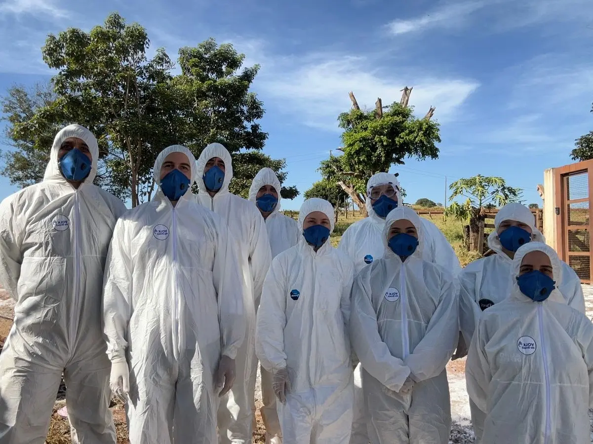 Emergência sanitária mobiliza 600 servidores em Goiás para proteger agropecuária