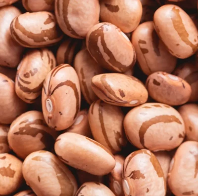 Redução do imposto sobre feijão em Goiás pode mudar cenário do agronegócio e ampliar vendas para outros estados