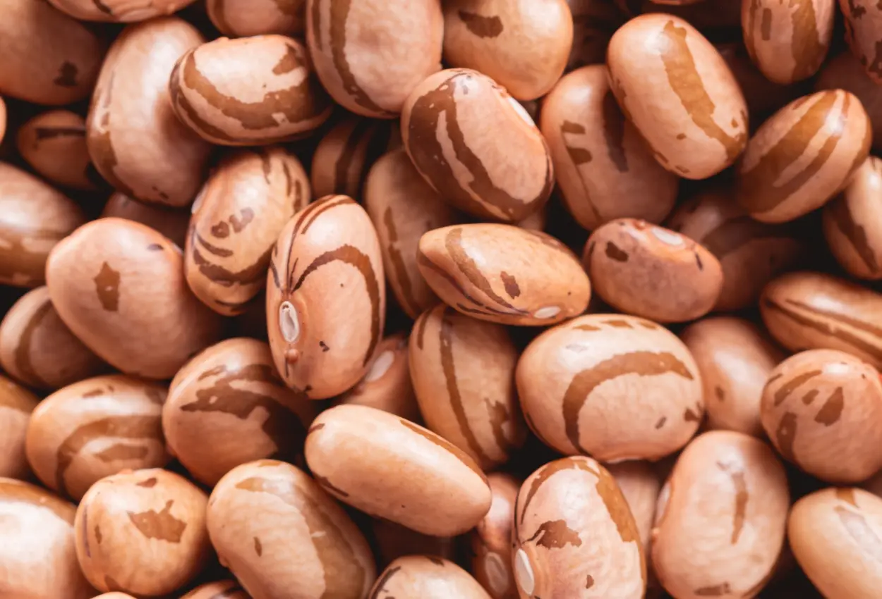Redução do imposto sobre feijão em Goiás pode mudar cenário do agronegócio e ampliar vendas para outros estados