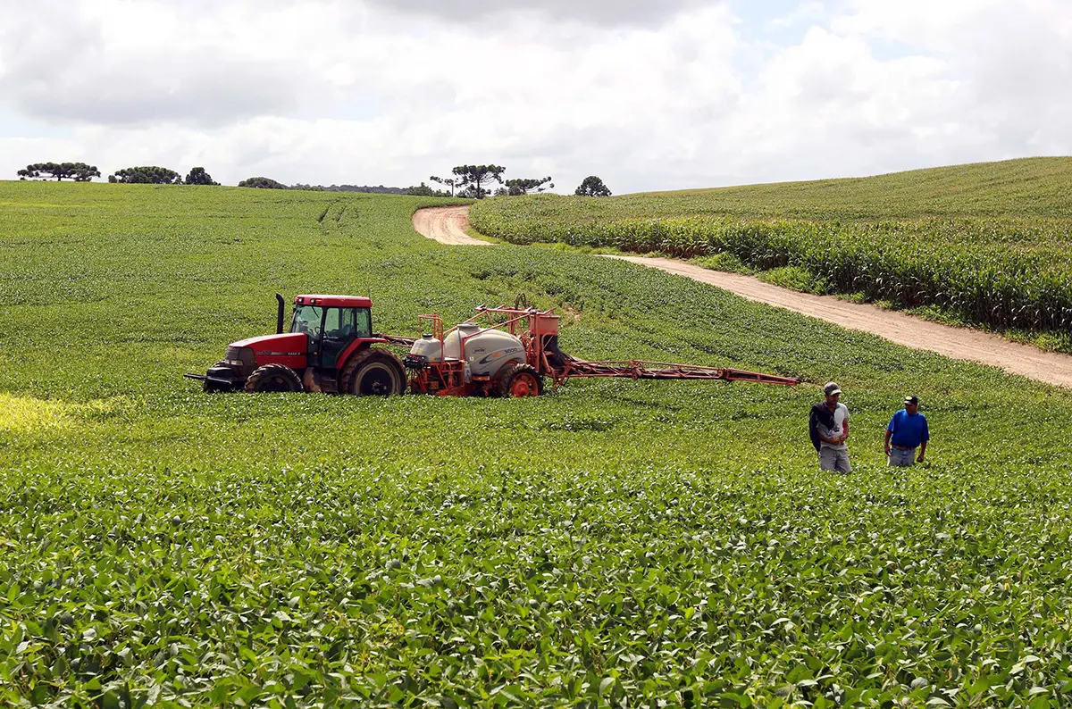 Safra de grãos bate recorde e soja impulsiona produção histórica no Brasil em 2026