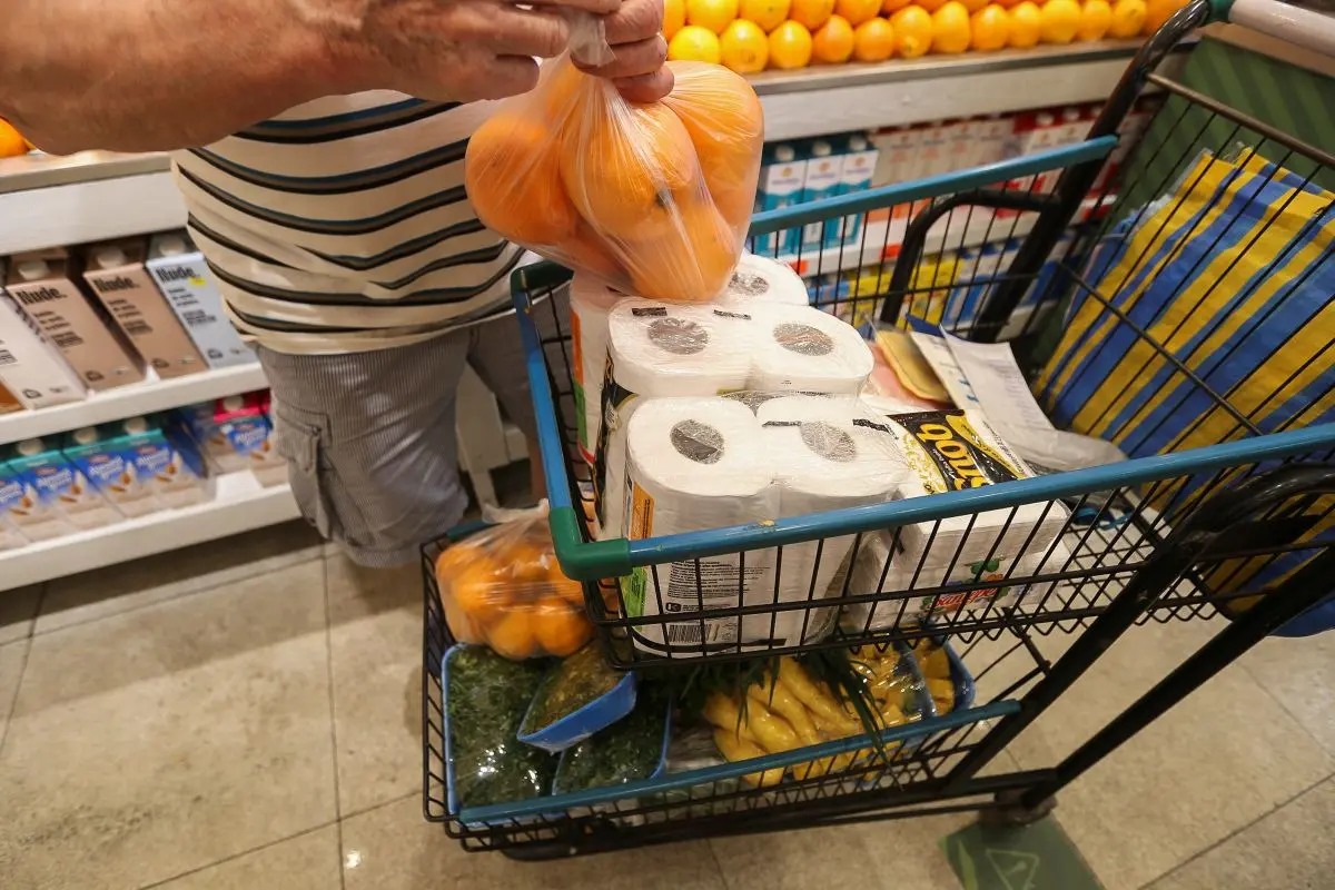 Comércio em Goiás movimenta R$ 295,3 bilhões em 2024 e varejo lidera geração de empregos