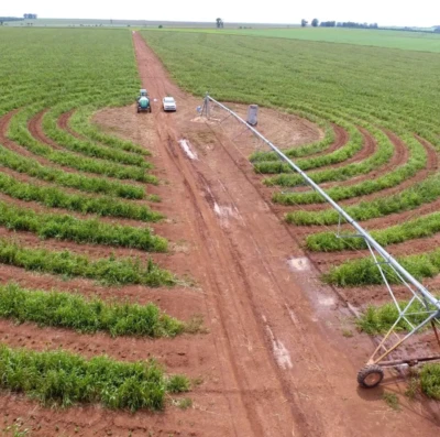 Energia impulsiona agricultura irrigada em Goiás e acelera expansão no campo