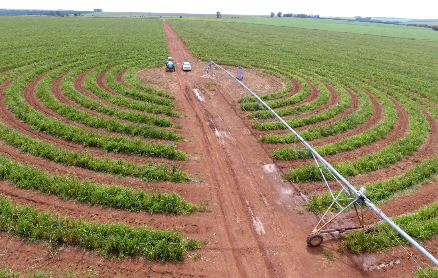 Energia impulsiona agricultura irrigada em Goiás e acelera expansão no campo