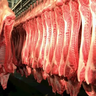 Exportações de carne suína batem recorde histórico e Brasil mira novo marco em 2026