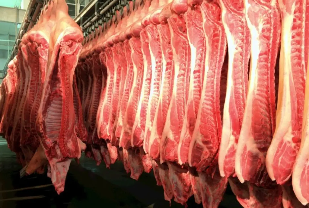 Exportações de carne suína batem recorde histórico e Brasil mira novo marco em 2026