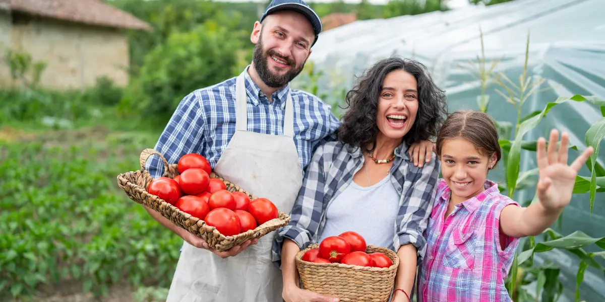 Feira Sabores de Goiás valoriza agricultura familiar em Goiânia