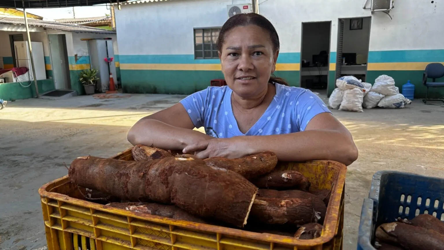 Programa de Aquisição de Alimentos tem prazo ampliado em Goiás e beneficia produtores rurais