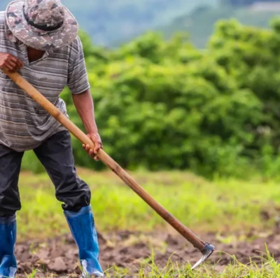Agropecuária gera 8,1 mil empregos em Goiás no semestre