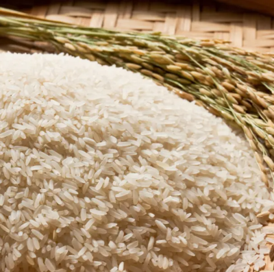 Colheita de arroz em Goiás termina com 23,8 mil hectares cultivados