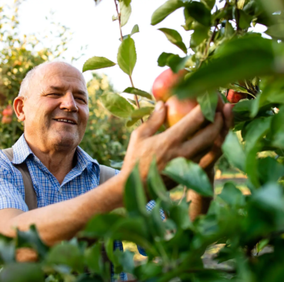 Cooperativismo financeiro amplia crédito rural e impulsiona agronegócio em Goiás