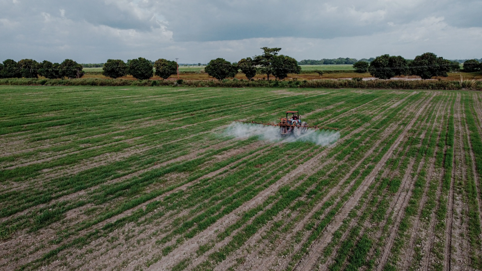 Profert avança no Brasil e pode mudar mercado de fertilizantes; Goiás está entre os mais impactados
