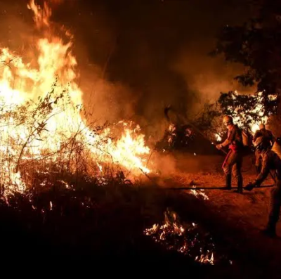 Fogo destrói lavouras em Goiás e causa prejuízo de R$ 2,5 milhões