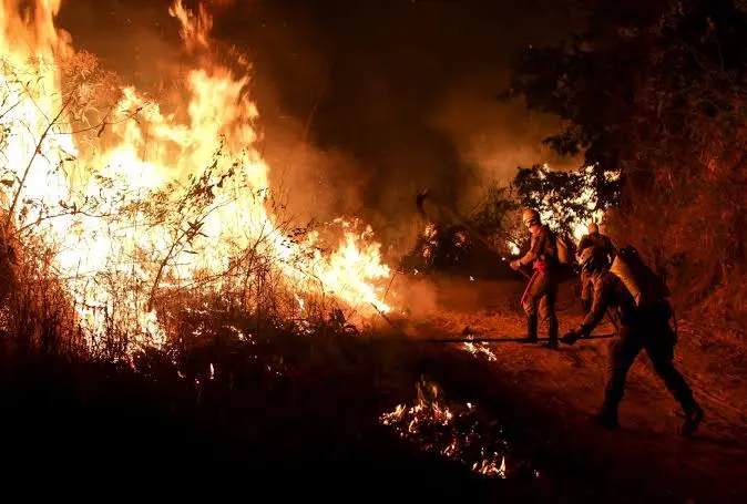 Fogo destrói lavouras em Goiás e causa prejuízo de R$ 2,5 milhões