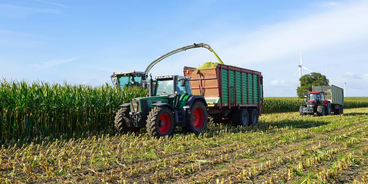 Produção agrícola do Brasil bate recorde e movimenta R$ 927,2 bilhões em 2025